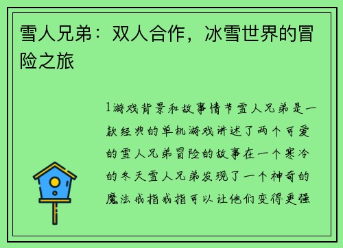 雪人兄弟：双人合作，冰雪世界的冒险之旅